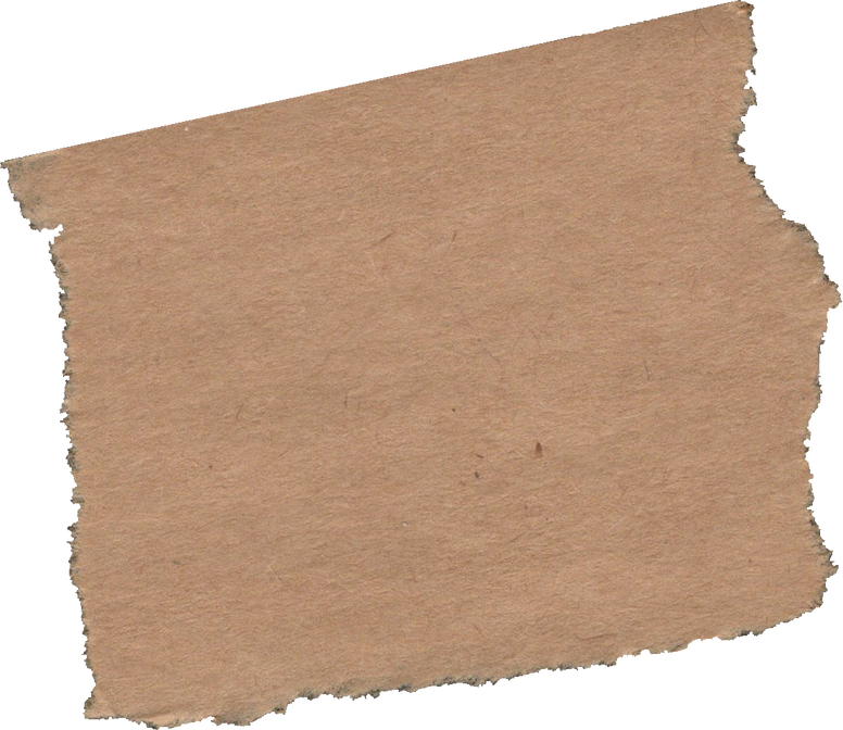 Ripped Paper